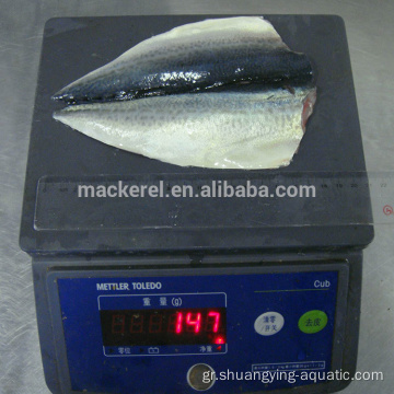 2022 Νέα άφιξη Frozen Fish Butterfly Mackerel Flaps